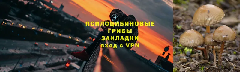 продажа наркотиков  Межгорье  Галлюциногенные грибы мухоморы 